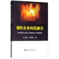 钢铁企业两化融合