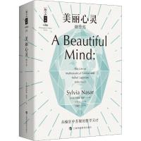 美丽心灵 纳什传