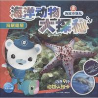 海底小纵队 海洋动物大探秘 海底明星