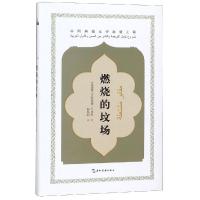 燃烧的坟场/中阿典籍互译系列