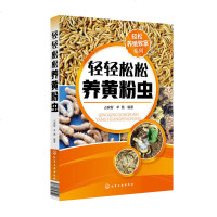 正版 轻松养殖致富系列--轻轻松松养黄粉虫 黄粉虫人工养殖技术 饲料配方 设备场所 注意事项 黄粉虫规模养殖技术
