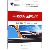 高速铁路医护急救(普通高等教育十三五规划教材)/高速铁路系列