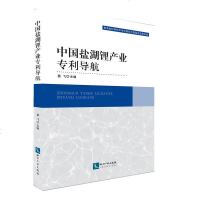 中国盐湖锂产业导航|葛飞|知识产权出版社|9787513058575