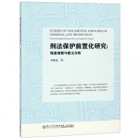 刑法保护前置化研究--现象观察与教义分析 博库网
