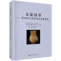 正版大安汉书——青铜时代遗址考古发掘报告 介绍了大安汉书遗址2001年的考古发掘成果 吉林省文物社科 文物考_337