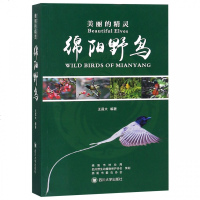 绵阳野鸟(美丽的精灵) 博库网_119_488