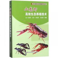 小龙虾高效生态养殖技术/淡水高效生态养殖技术丛书 博库网_386_697