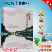 正版 大国小镇—中国特色小镇规划与运营模式 李季著 发展概述 建设背景 建设分析 产业分类 建设典型案例分析 建筑工