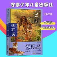 乞丐虎沈溪石动物故事注音本沈溪石著美绘版绘本走进惊心动魄的动物世界领略动物小说的神奇魅力安徽少年儿童出版社__134