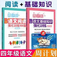 正版 四年级小学语文周计划 小学语文阅读强化训练100篇+小学语文基础知识强化训练 小学语文阅读训练四年级基_954