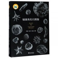 疑源类化石图鉴(精) 博库网