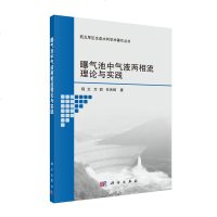 正版 曝气池中气液两相流理论与实践 工业技术 化学工业