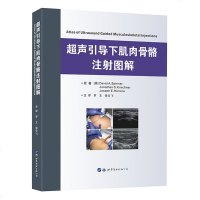 超声引导下肌肉骨骼注射图解 医学书籍 超声介入 骨科 康复理疗科医生及学生参考用书 专业技能学习指导 穿刺和_646
