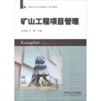 矿山工程项目管理