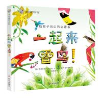 一起来看鸟/漂流瓶绘本馆