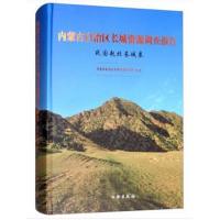 内蒙古自治区长城资源调查报告 战国赵北长城卷