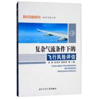复杂气流条件下的飞行风险评估/学术研究专著系列