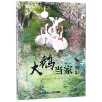 大鹅当家/动物小说十家/中国当代儿童文学