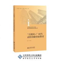 tt创新创业教育丛书 “互联网+”时代高校创新创业教育何军9787303238552北京师范大学