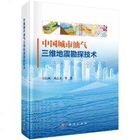 正版书籍 中国城市油气三维地震勘探技术 邓志文高等院校专业教材工业技术石油天然气华北油田城市三维地震勘探典型_272