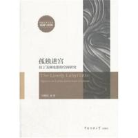 孤独迷宫:拉丁美洲电影的空间研究