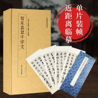 智永真草千字文 高清原大碑帖单片装帧便临摹 释文注释简体旁注 近距离临摹碑帖丛刊中国碑帖名品教程毛笔书法 草书毛笔字
