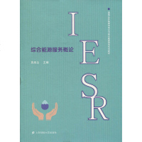 综合能源服务概论 施泉生 上海财经大学出版社_15_197