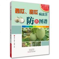 西瓜、甜瓜病虫害防治图谱 甜瓜优质高产栽培技术大棚西瓜甜瓜种植病虫害防治识别技术书籍种子处理嫁接施肥授粉等实_514
