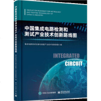 中国集成电路检测和测试产业技术创新路线图 中国集成电路测试与检测产业链技术创新书 集成电路测试设备与检测仪器工艺制备