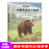正版图书 黑鹤动物小说 一头睡在床垫上的熊 格日勒其木格•黑鹤 著 彩图注音版 6-7-8-9岁一二三年级课外阅读书