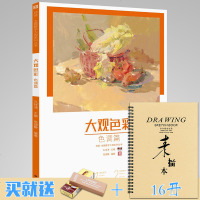 大观色彩色调篇2019师语主题教学张德静水粉色彩静物临摹范本色调色稿练习照片对画写生争霸演绎国美院校联考美术绘画册教