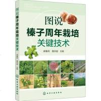 图说榛子周年栽培关键技术 榛子栽培技术书籍 实用大果榛子栽培技术大全 榛树四季栽培管理要点 病虫害防治坚果树_717