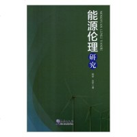 正版 能源伦理研究 柳琴 书店 社会与环境书籍
