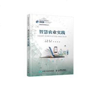 智慧农业实践 智慧农业 智慧城市 智慧城市与智慧农业的工程技术人员参考书 智慧城市实践系列丛书