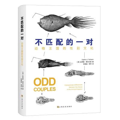 不匹配的一对:动物王国的性别文化
