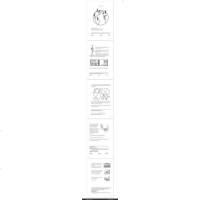 渤海西部海洋软体动物