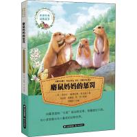麝鼠妈妈的惩罚