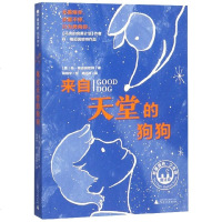 测试商品来自天堂的狗狗/魔法象