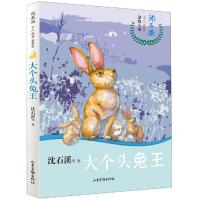 雄虎哈雷/沈石溪十二生肖动物小说