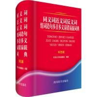 同义词近义词反义词组词造句多音多义易错易混词典 双色版