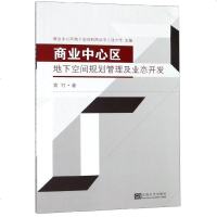 商业中心区地下空间规划管理及业态开发/商业中心区地下空间