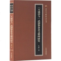 《天盛律令》武器装备条文整理研究 尤桦 著 史学理论社科 新华书店正版图书籍 上海古籍出版社