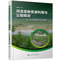 河流湿地资源利用与公园规划 以山东省临沂市为例内容维护湿地健康为重点 展示湿地生态功能为宗旨体现沂蒙文化为特征 图片
