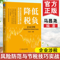 0625正版书籍 降低税负:企业涉税风防范与节税技巧实战 财务知识轻松学马昌尧经济管理财政金融财政税企业税务_919
