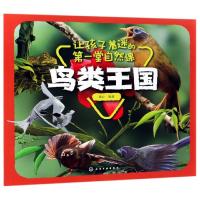 鸟类王国/让孩子着迷的第一堂自然课
