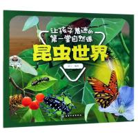 昆虫世界/让孩子着迷的第一堂自然课