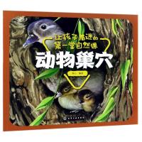 动物巢穴/让孩子着迷的第一堂自然课