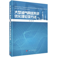 大型油气网络系统优化理论与方法 刘扬 能源科学 专业科技 科学出版社