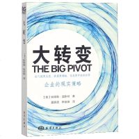 正版 大转变:企业的现实策略 企业管理运营书籍 现代社会企业可持续发展盈利目标策略研究 企业长期成功计划_963