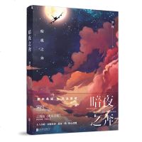 正版预售 暗夜之奔书籍 云端版《飓风营救》梁柯震撼力作 第十三天校园枪击案策划指南 同一作者D